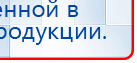 Пояс электрод купить в Первоуральске, Выносные электроды купить в Первоуральске, Дэнас официальный сайт denasdoctor.ru